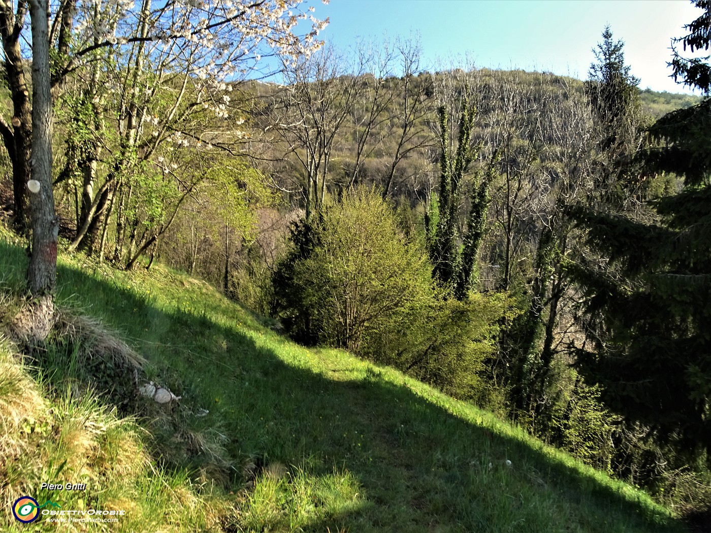 11 Poco sopra la Pernice prendo a dx il sentiero per la linea tagliafuoco.JPG